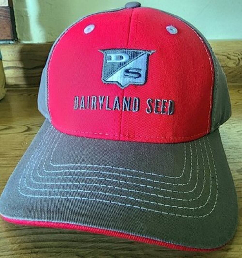 Dairyland Seed Baseball Cap Hat Men's Adjustable Red Grey Cotton Logo